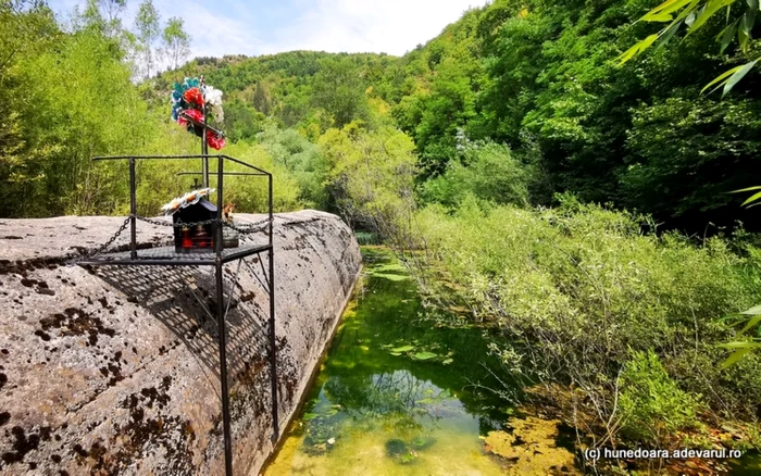 Mlaştina de la poalele carierei, Foto: Daniel Guţă. ADEVĂRUL