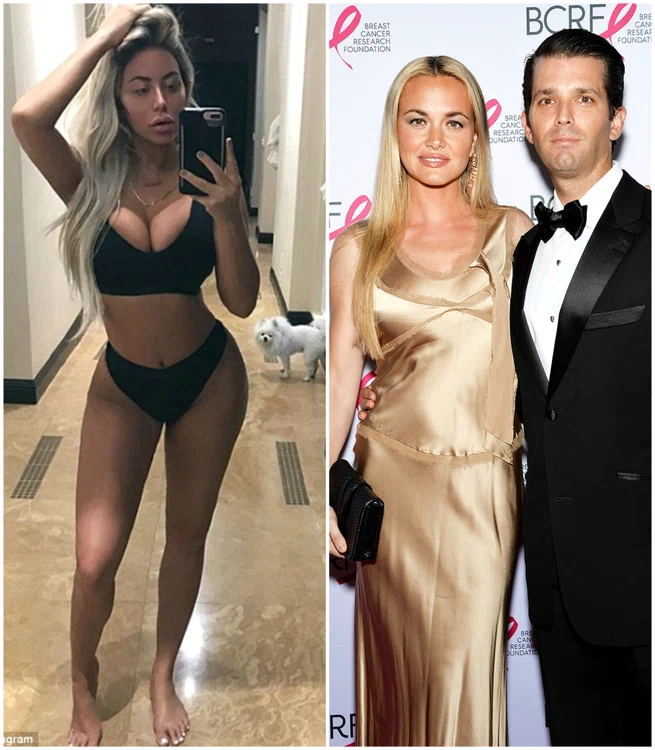 donald trump jr jpeg