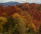 Culorile toamnei în Parcul Naţional Buila - Vânturariţa din judeţul Vâlcea Foto Mihai Răducanu