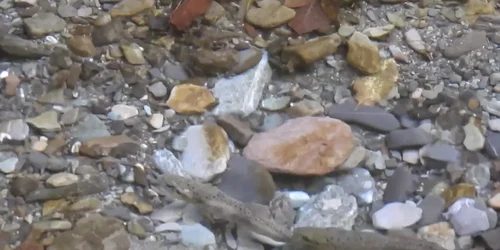 617ff62b5163ec42710e5ea7 jpg