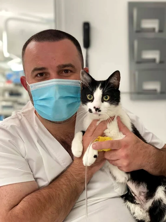 Medicul veterinar Constantin Ifteme, cu unul dintre pacienții săi