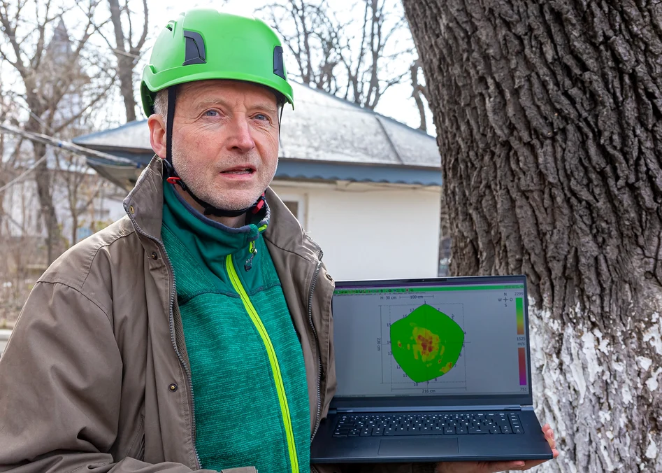 Frank Rinn, la Galați pentru a verifica starea de sănătate a unui arbore FOTO: Primăria Galați