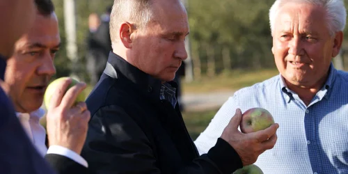 5e59783209fedbb255bc79ad90bc980c (1) webp