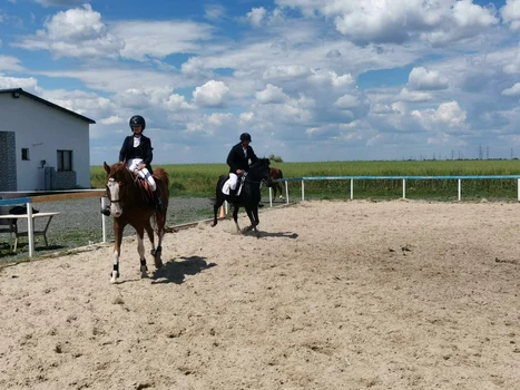Baza hipică CS Cantemir Timișoara FOTO Ștefan Both