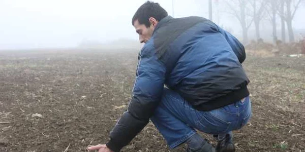 Agricultorii spun că trebuie întoarsă cultura. FOTO: NICOLETA BUTNARU
