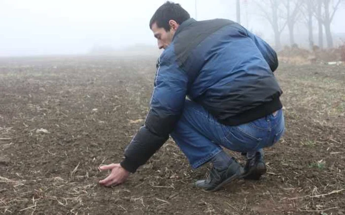 Agricultorii spun că trebuie întoarsă cultura. FOTO: NICOLETA BUTNARU