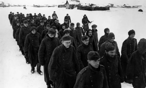 Ziua neagră de la Stalingrad jpeg