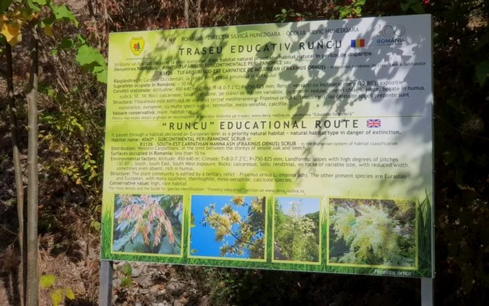 traseu educativ