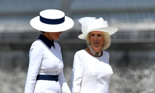 melania camilla png