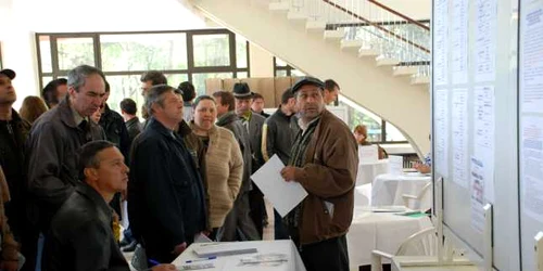 Şi numărul celor care consultă oferta de locuri de muncă a scăzut. FOTO: ADEVĂRUL
