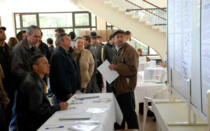 Şi numărul celor care consultă oferta de locuri de muncă a scăzut. FOTO: ADEVĂRUL