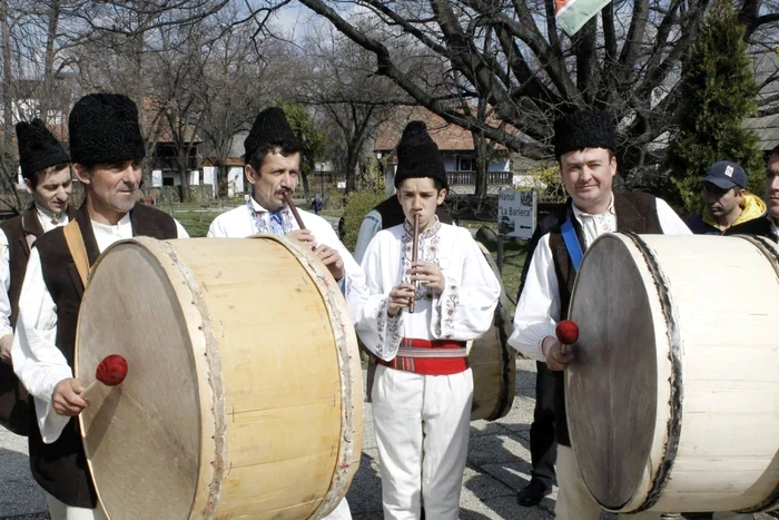 cimpoieri vrancea