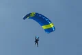 alfred koop parachute 851318 jpg