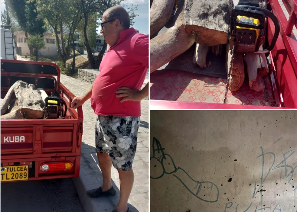 Memorialul a fost vandalizat la 48 de ore de la lansare. FOTO Facebook Teodor Frolu