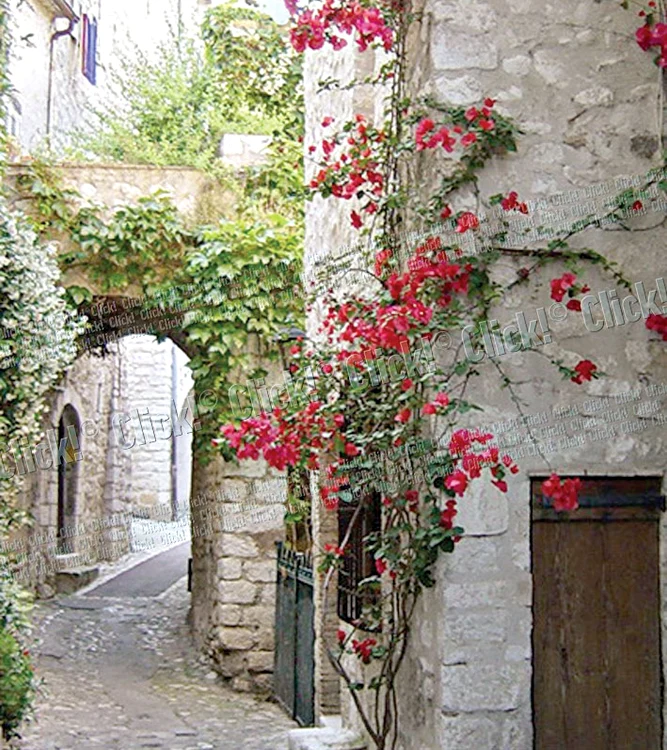 Străduţele înguste din  orăşelul medieval sunt  pline de verdeaţă şi flori
