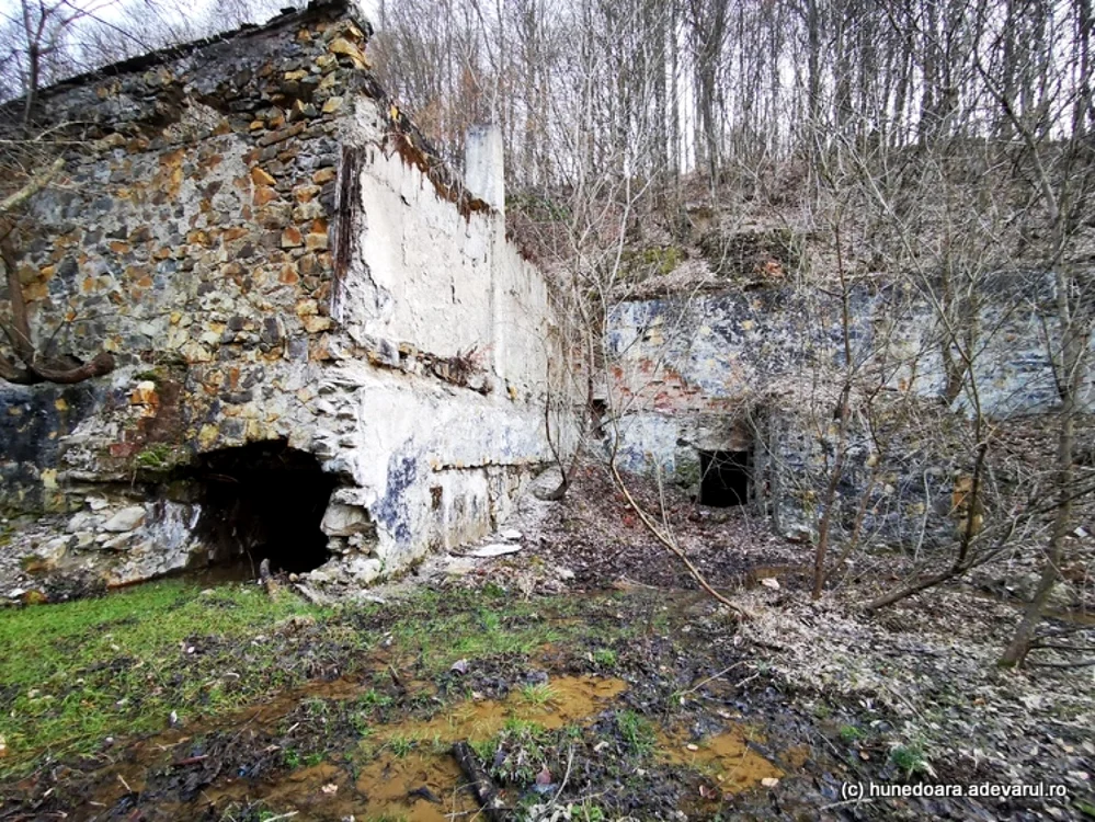 valea arsului foto daniel guta adevarul