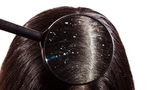 1 83373 original jpg jpeg