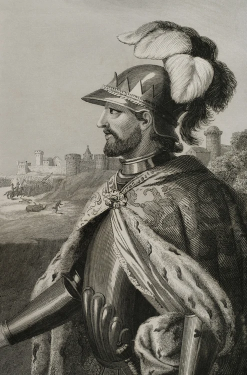 Henric al II lea al Castiliei, profimedia 0796220463 jpg