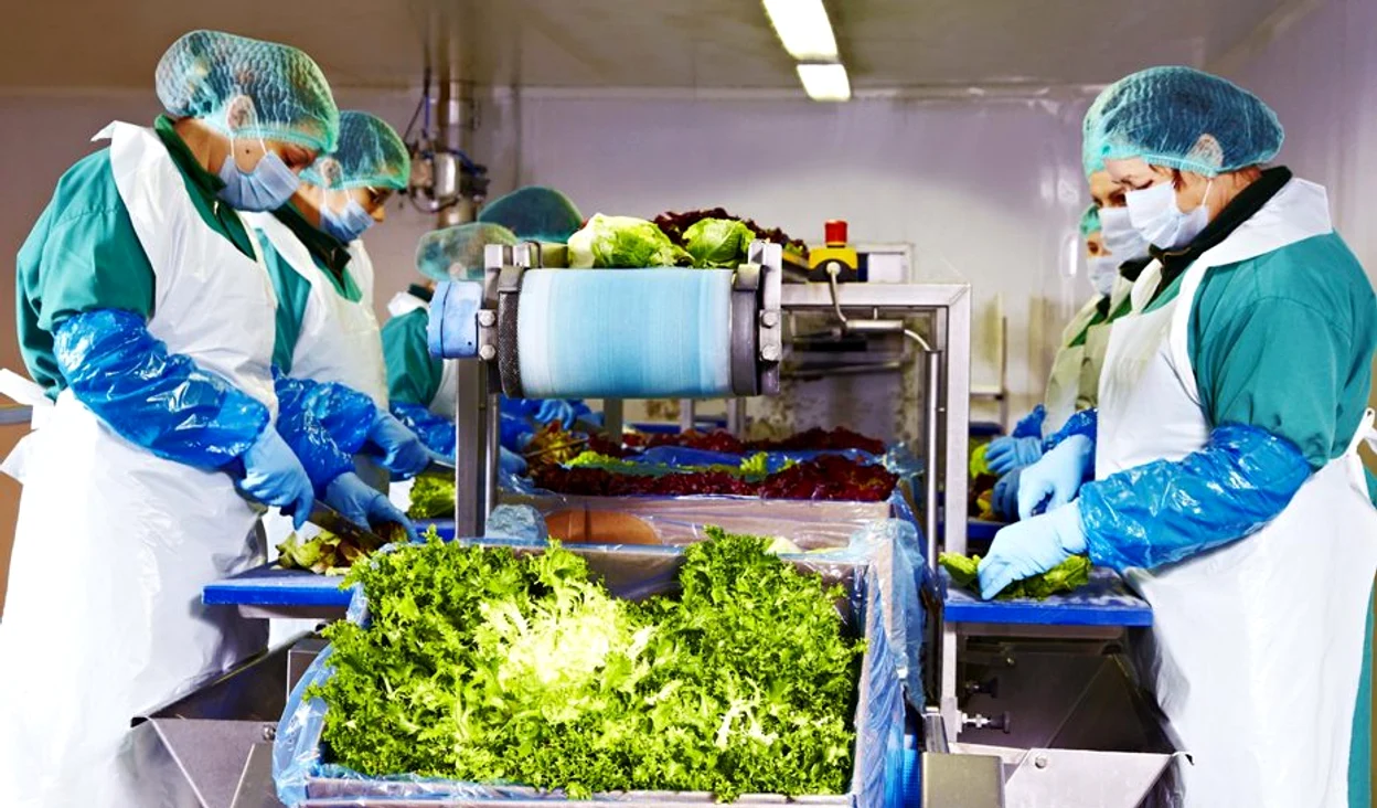 Eisberg România își continuă producția la întreaga capacitate