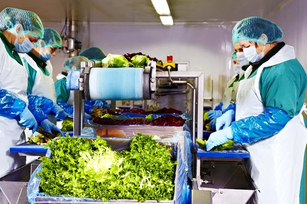 Eisberg România își continuă producția la întreaga capacitate