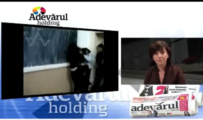 Videochat