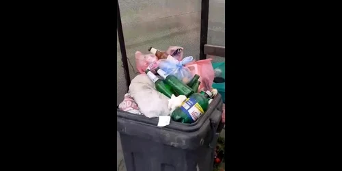 6252ce485163ec42713b7620 jpg