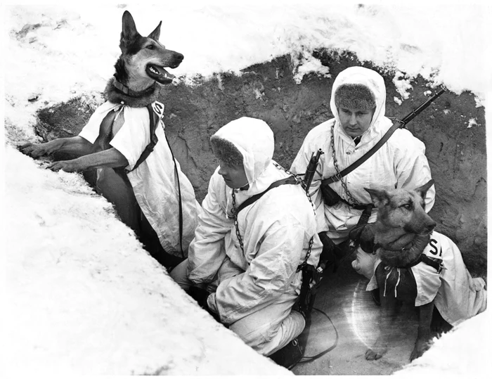 Două armate biciute de iarnă s-au înfruntat în tranșeele din Finlanda. FOTO: Getty Images