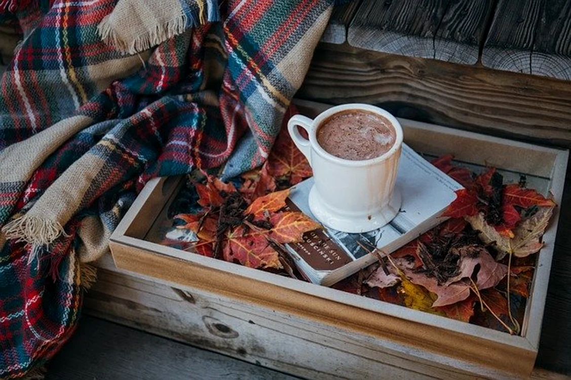 O ceașcă de cacao neîndulcită reduce riscul problemelor vasculare Foto: Pixabay.com