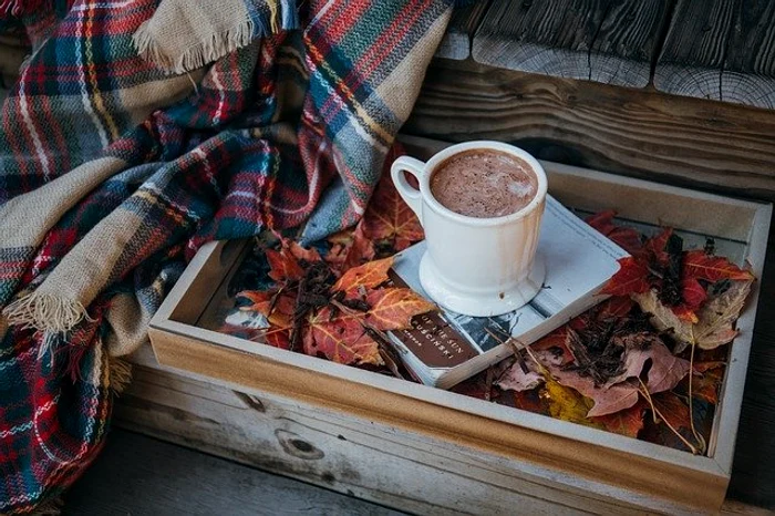 O ceașcă de cacao neîndulcită reduce riscul problemelor vasculare Foto: Pixabay.com