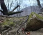 Pietroasa lui Solomon, Blidaru Foto Daniel guță ADEVĂRUL (1) jpg
