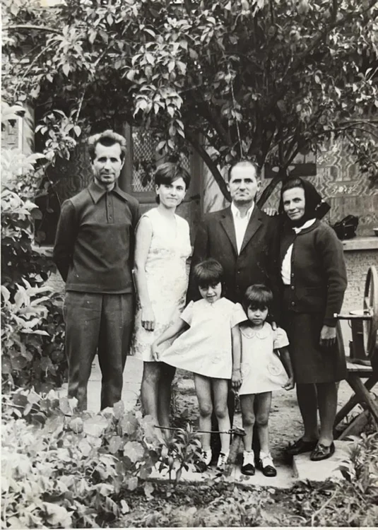 Familia Cameliei