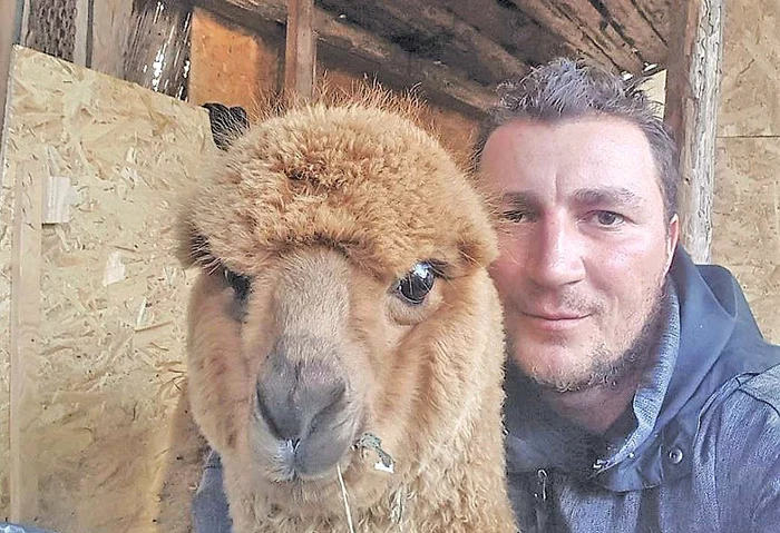 Marian Godină şi Pablo, alpaca