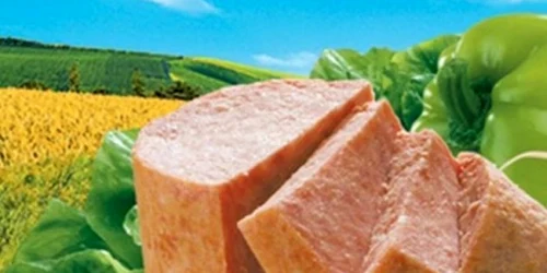 conserva carne de cal