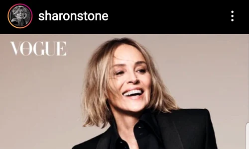 Sharon Stone a pozat pentru ultimul număr al revistei Vogue, ediția germană jpeg