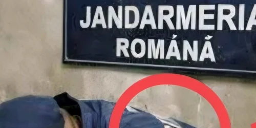 Imagine realizată cu AI 