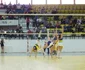 volei steaua caransebes