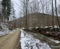 Valea Anineșului Drumul spre Fața Cetei (5) jpg