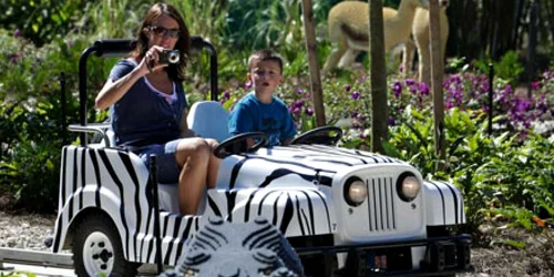 În acest Safari Park ar urma să fie aduse şi animale, astfel încât familiile cu copii să poată vizita acest parc tematic