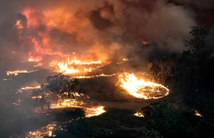 Incendiu în Cobargo New South Wales Australia FOTO EPA-EFE / Sean Davey