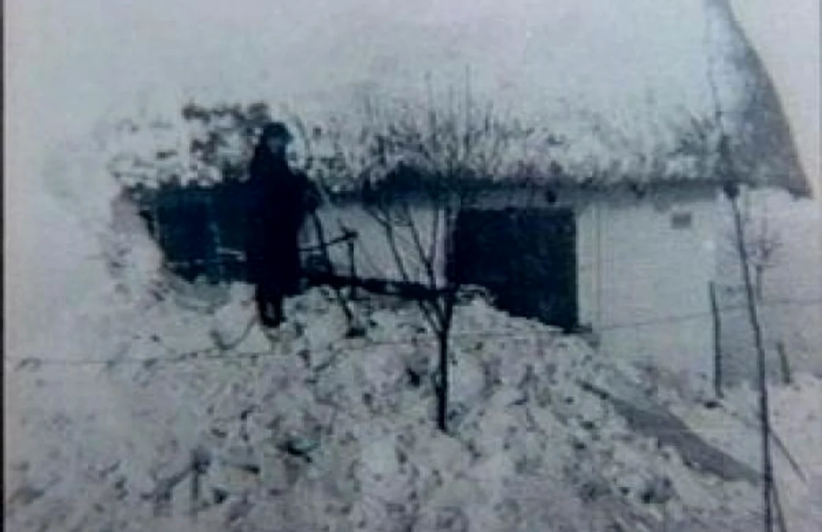 calarasi deportati foto memorialul sighet