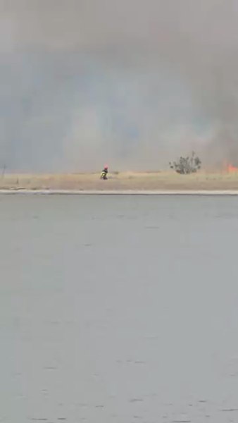 Mai multe focare de incendiu într-o pădure din Lacu Sărat. Circulaţia rutieră şi a tramvaielor a fost întreruptă. LIVE