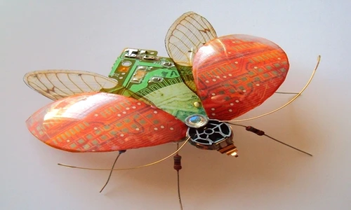 1 62379 original jpg jpeg