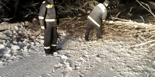 Vâlcea sub zăpadă - copaci căzuţi şi linii de energie electrică avariate Foto Adevărul