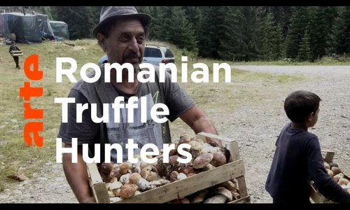 Trufele și sălbaticii jpeg