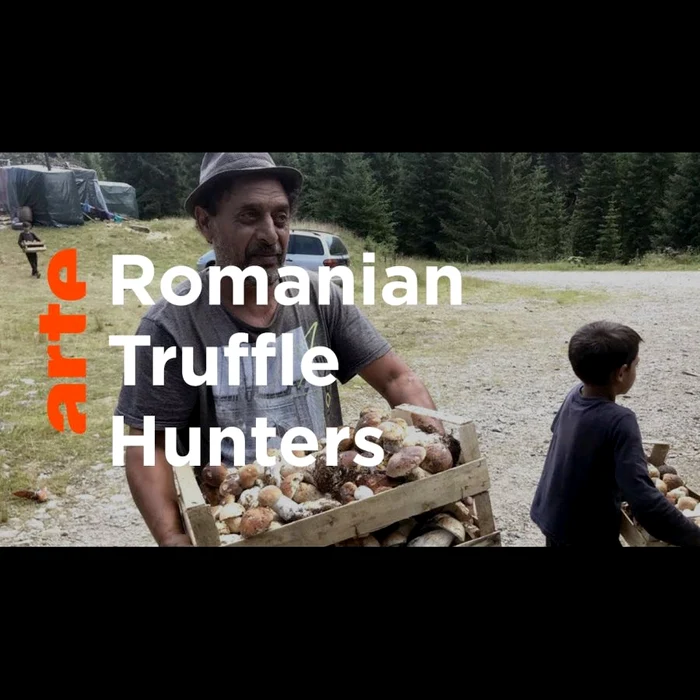 Trufele și sălbaticii jpeg