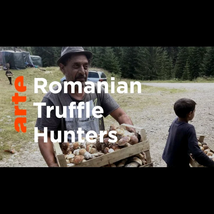 Trufele și sălbaticii jpeg