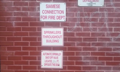 N are cum jpeg