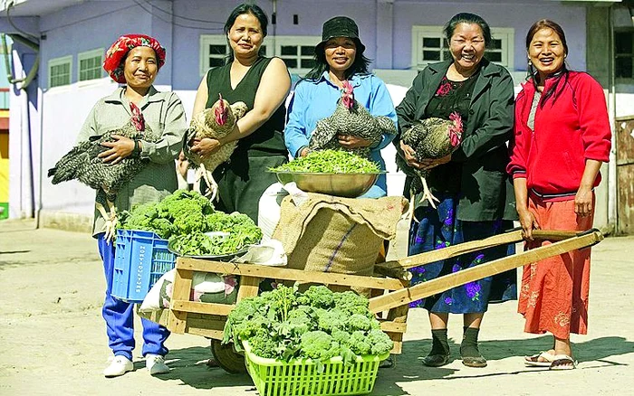 33 de pui se mănâncă la o singură masă