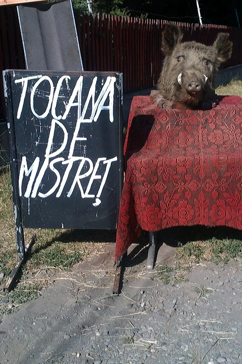 Cu ochii n 3,14 jpeg