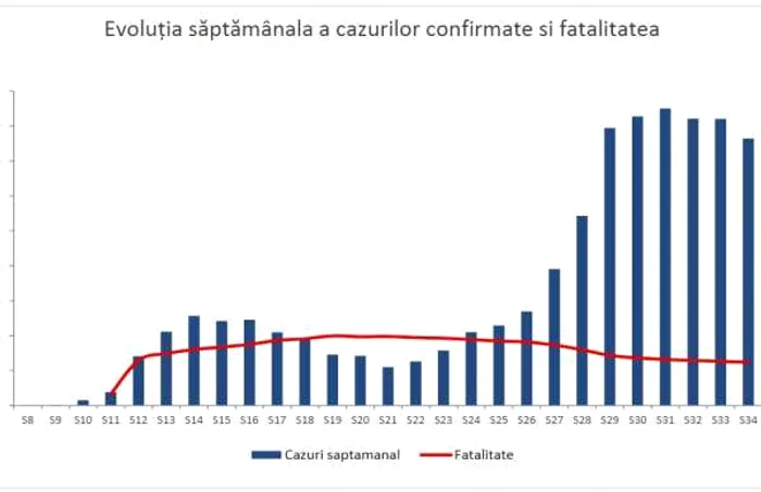 evolutie decese covid